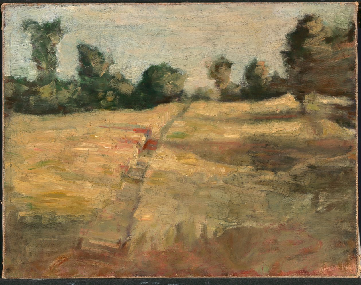 Alan, yaklaşık 1892. by Alice Pike Barney