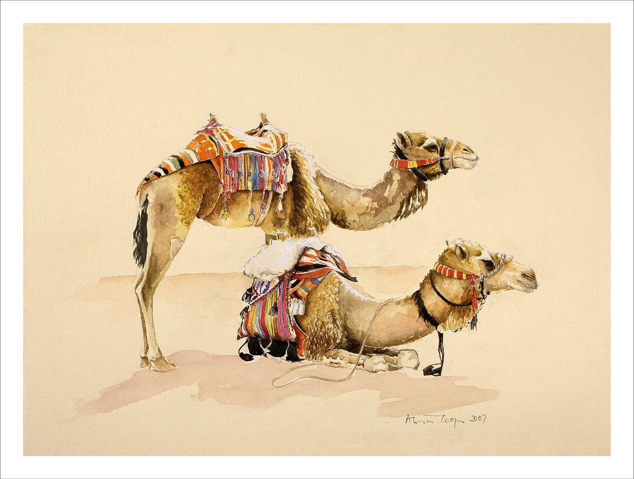 Petra'dan Develer, 2007 by Alison Cooper