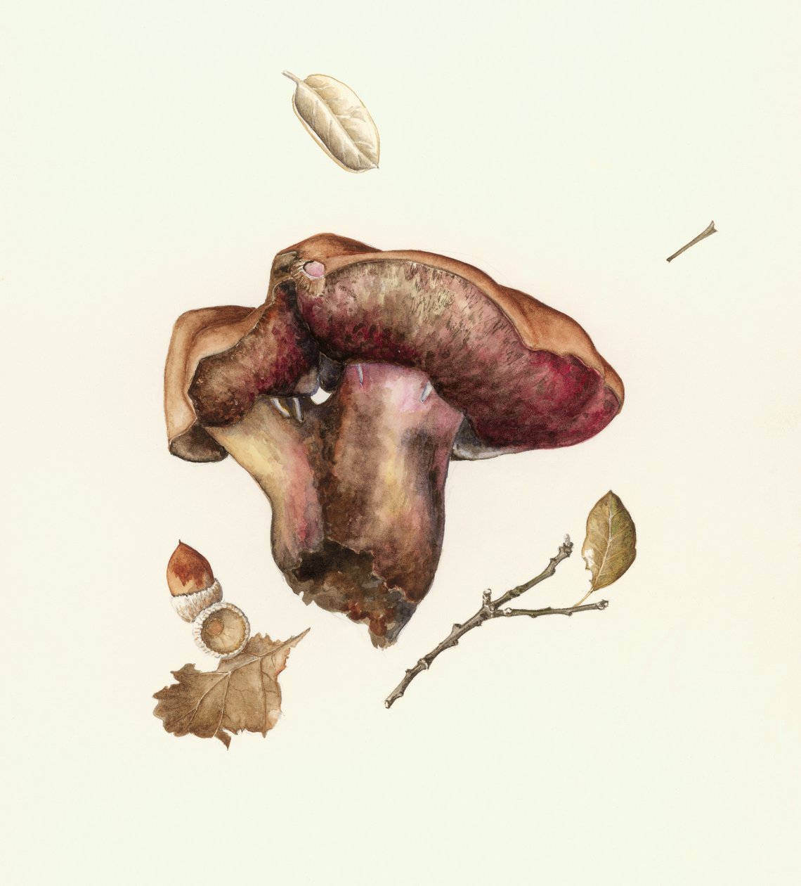 Mantar by Alison Cooper