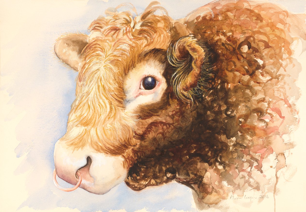 Boğa Adam, 2016, suluboya by Alison Cooper