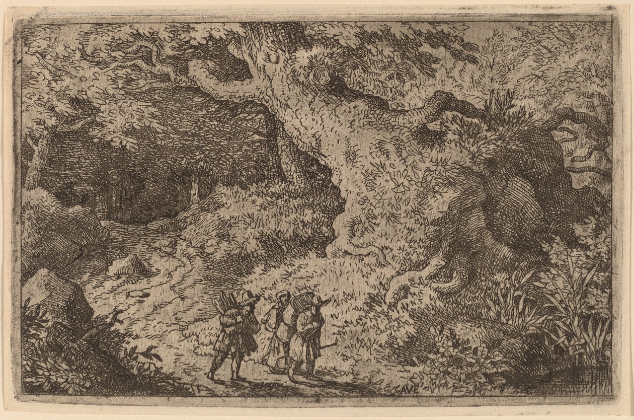 Kalın Bir Orman by Allart van Everdingen