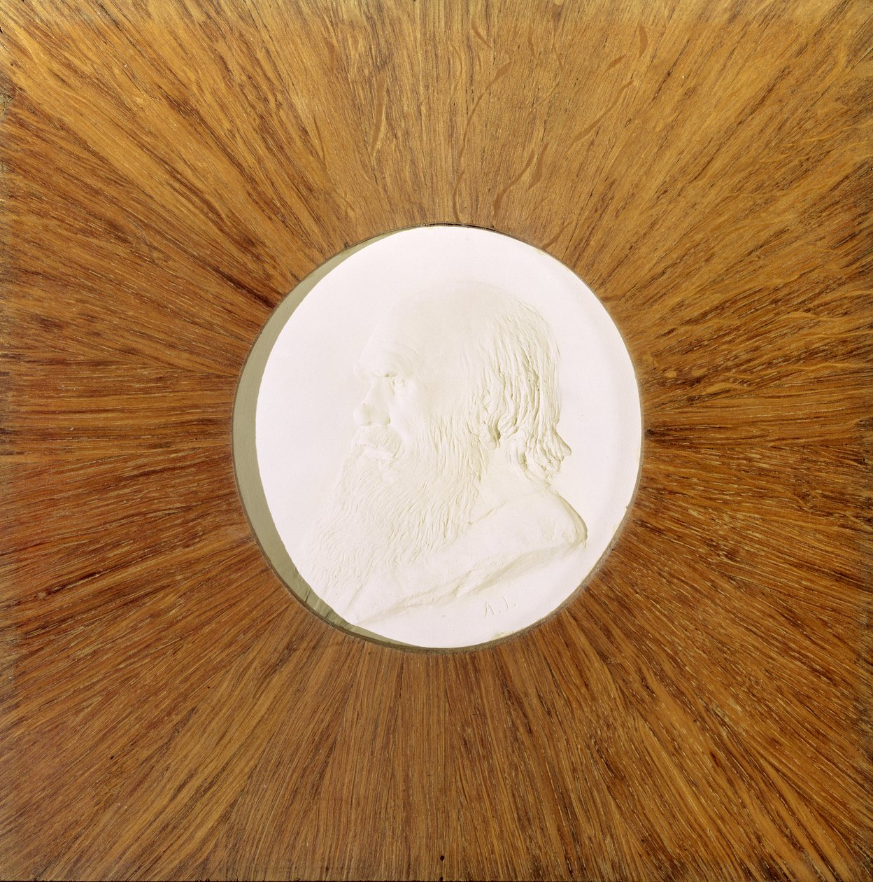 Charles Darwin (1809-82) c.1881 (alçı kabartma) by Alphonse Legros