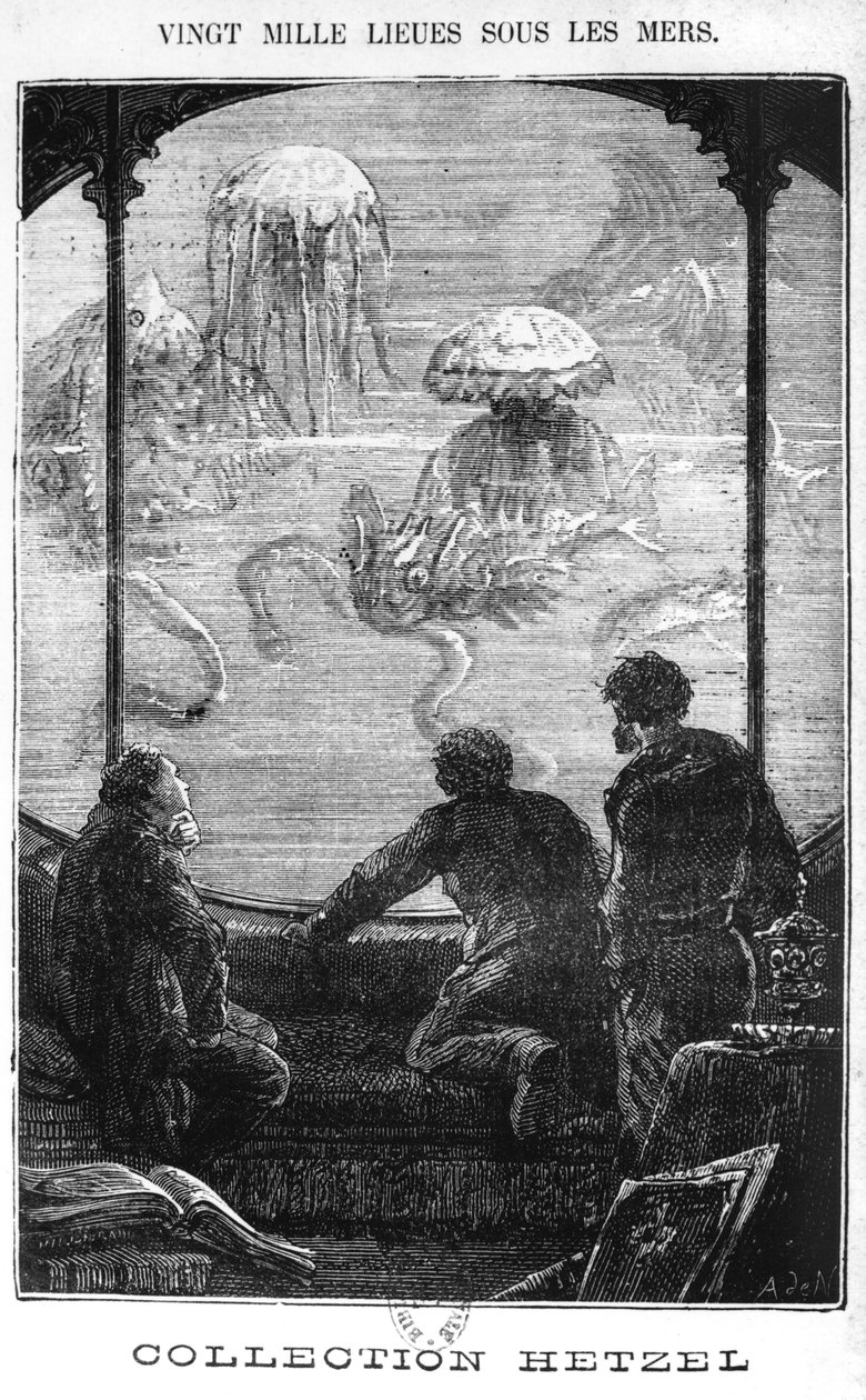 Nautilus Yolcuları, Jules Verne (1828-1905) tarafından 