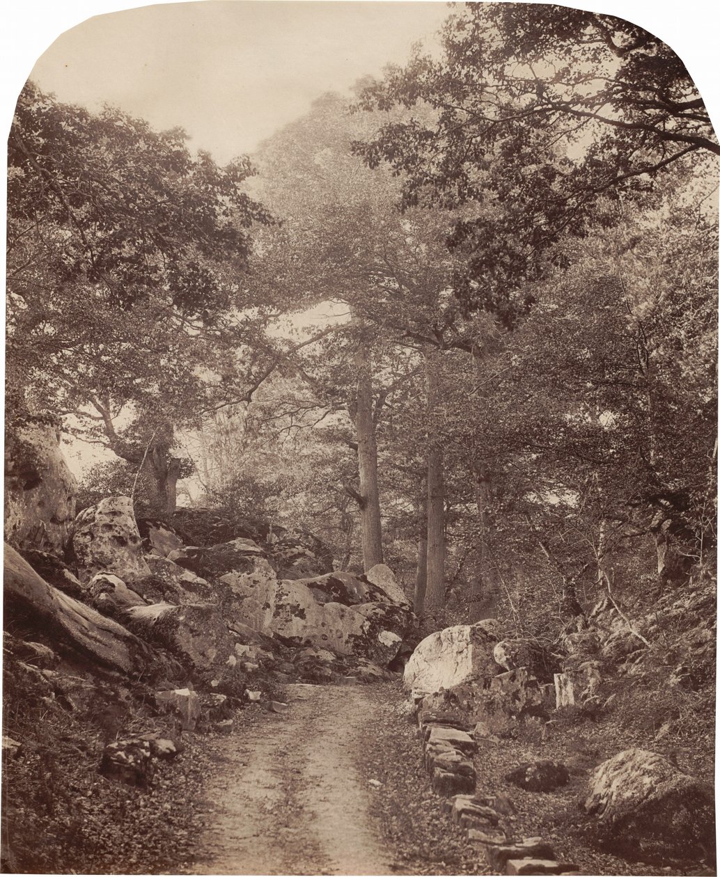 by Alphonse Francois Jeanrenaud