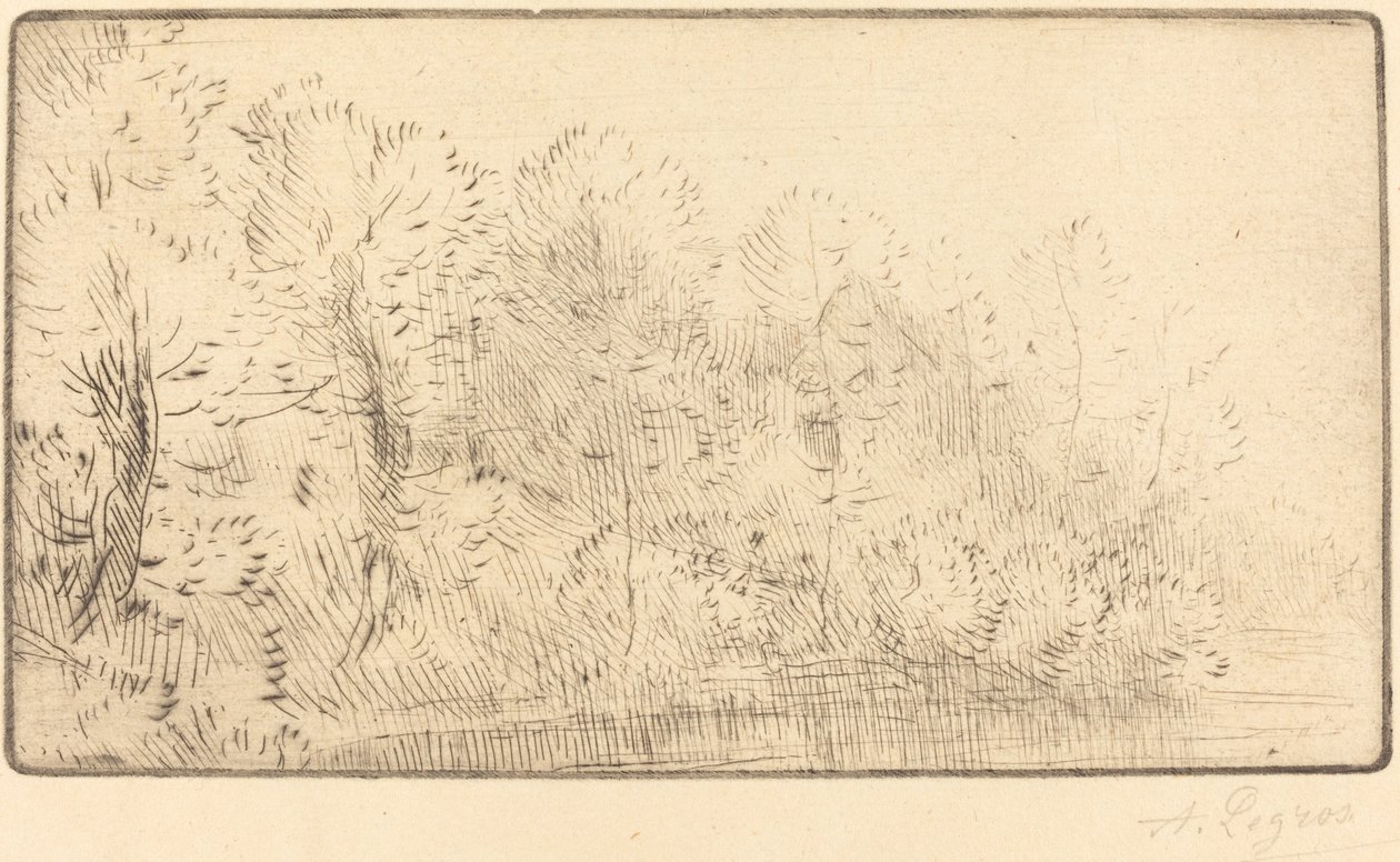 Sur la riviere Nehri boyunca. by Alphonse Legros