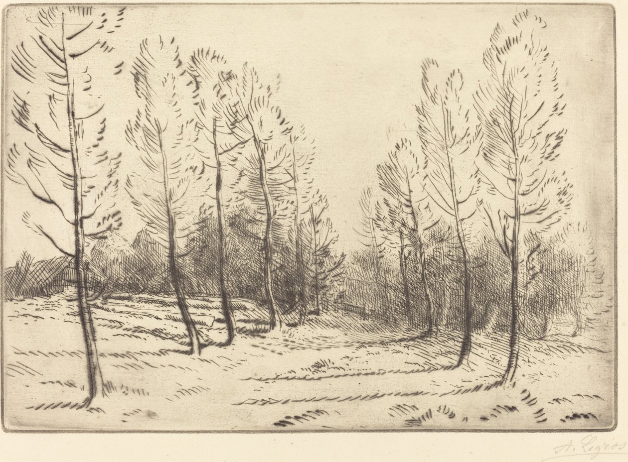 Kavak Bulvarı Kavak sokağı. by Alphonse Legros
