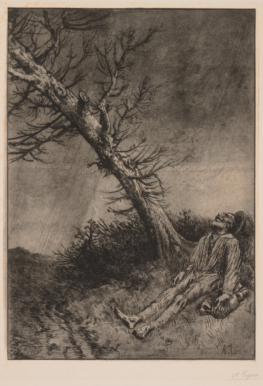 Vagabond