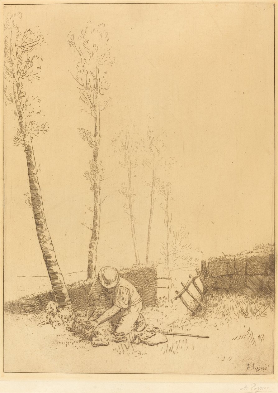 Koyun Bulma by Alphonse Legros