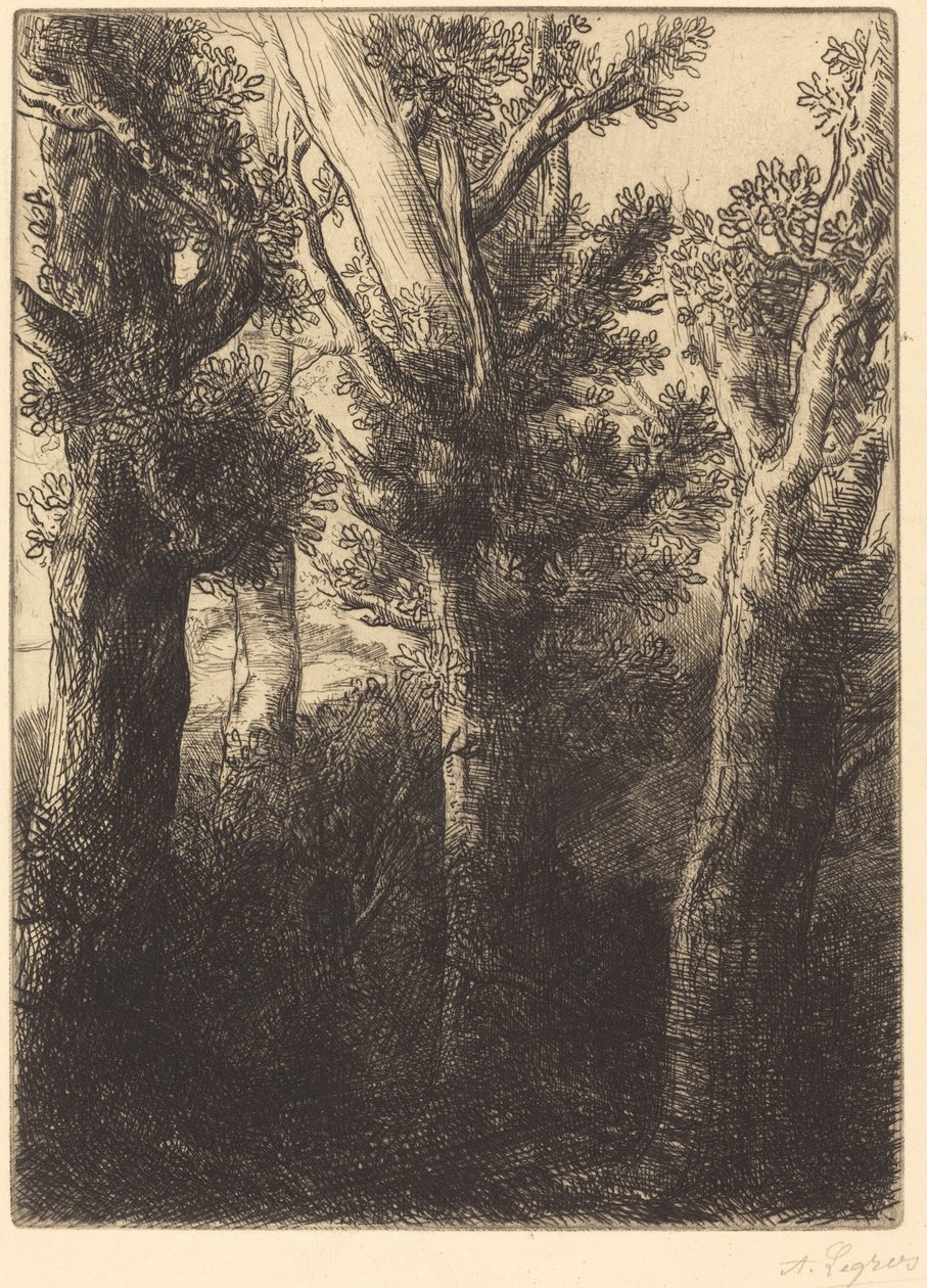 Alman Ormanı, Downley. by Alphonse Legros