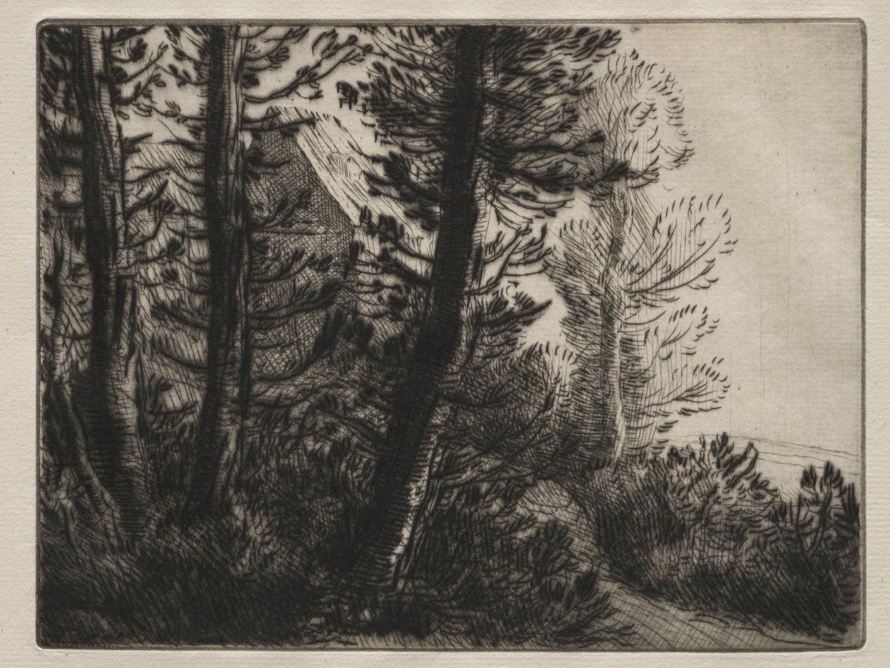 Bekçi evi by Alphonse Legros