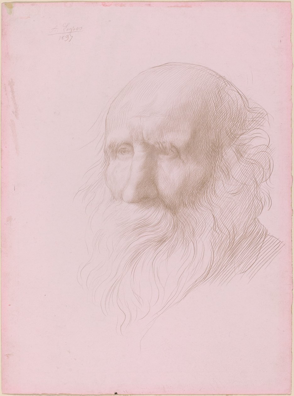 Yaşlı Bir Adamın Başı by Alphonse Legros
