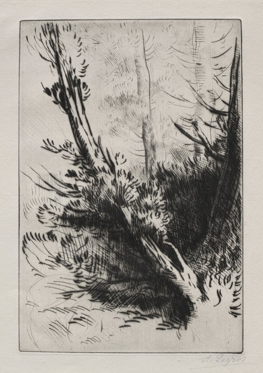 Ormanda. by Alphonse Legros