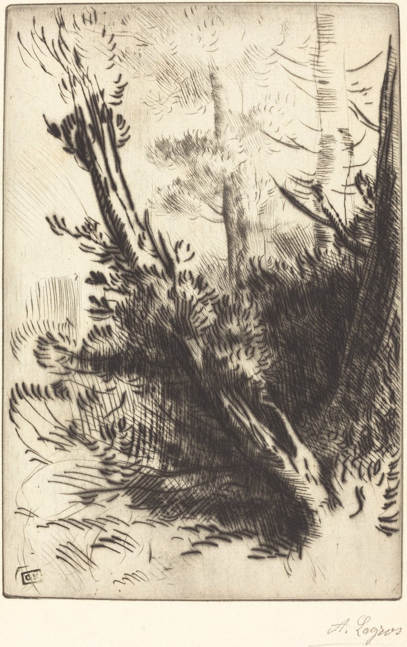 Ormanda Ormanda. by Alphonse Legros