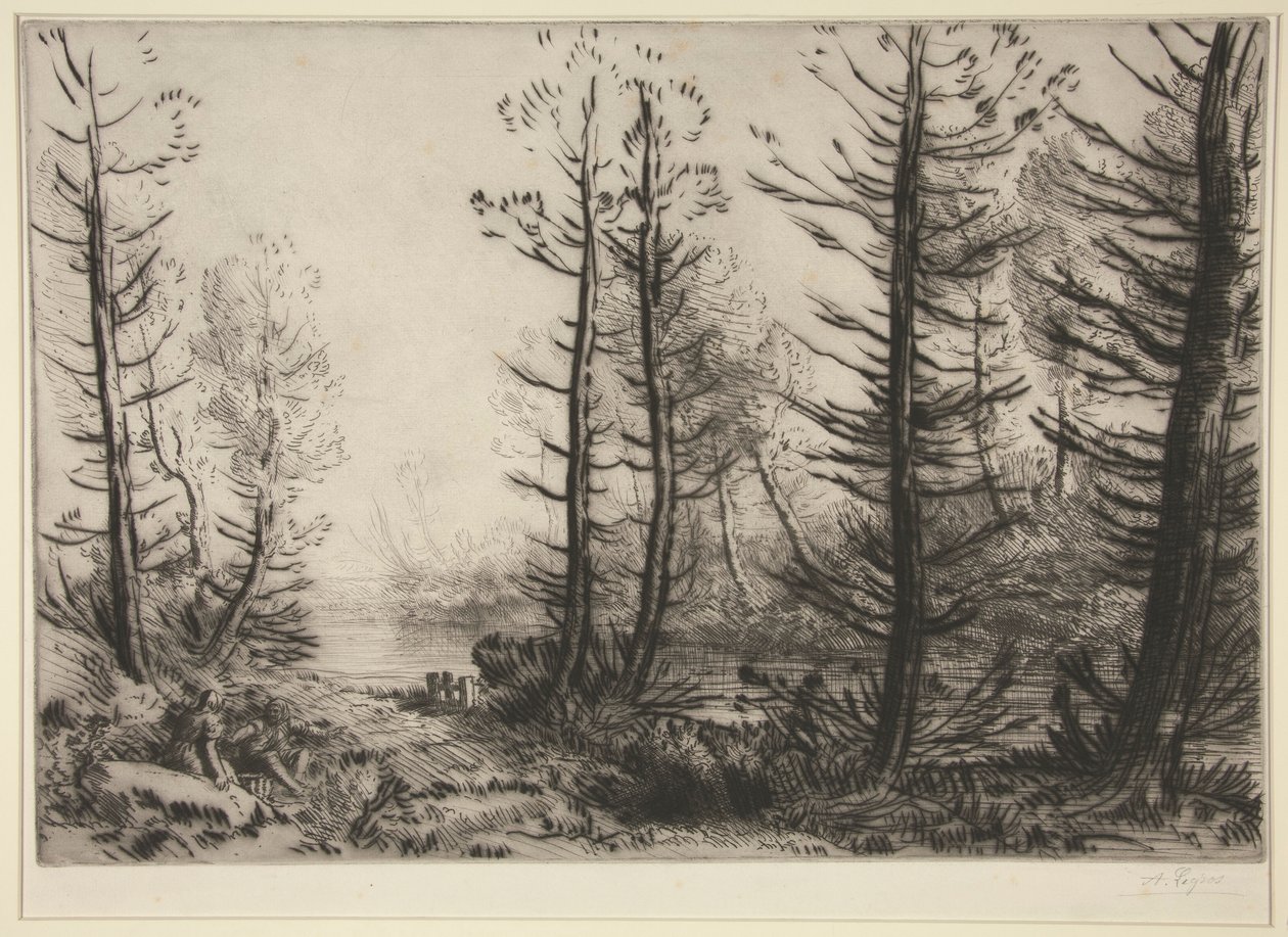 Büyük Kanal by Alphonse Legros