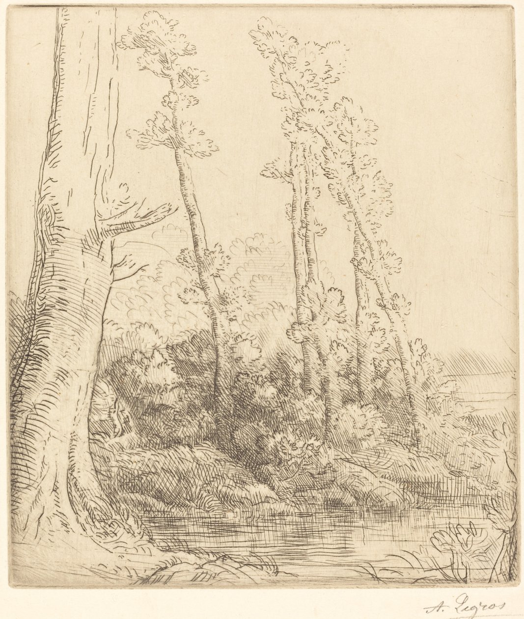 Küçük Gölet (La petite mare) by Alphonse Legros