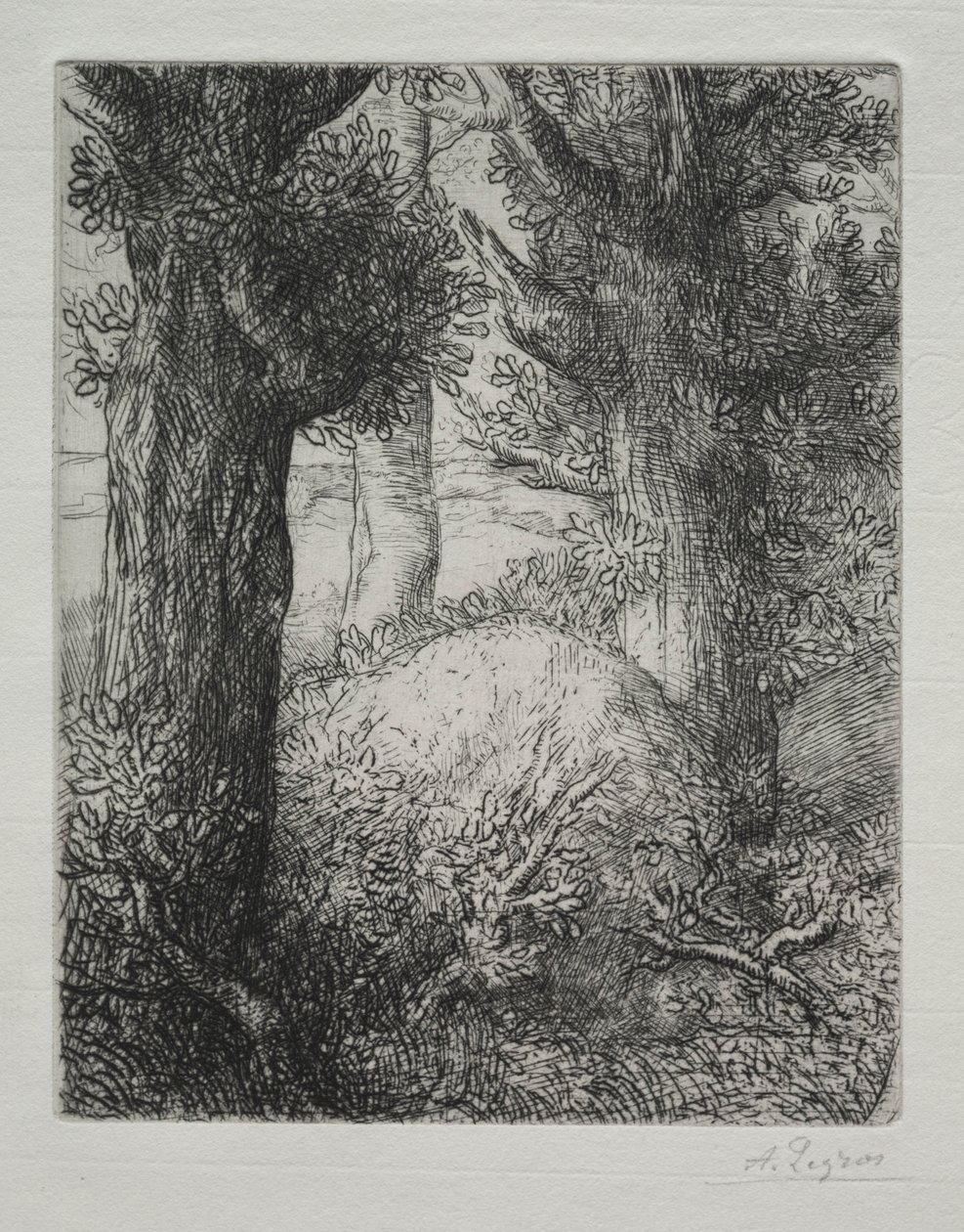 Galya mezar höyükleri. by Alphonse Legros