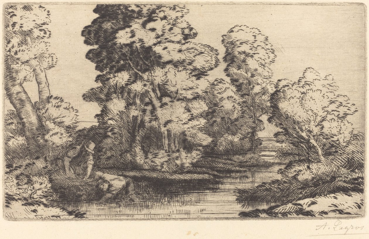 Burgonya