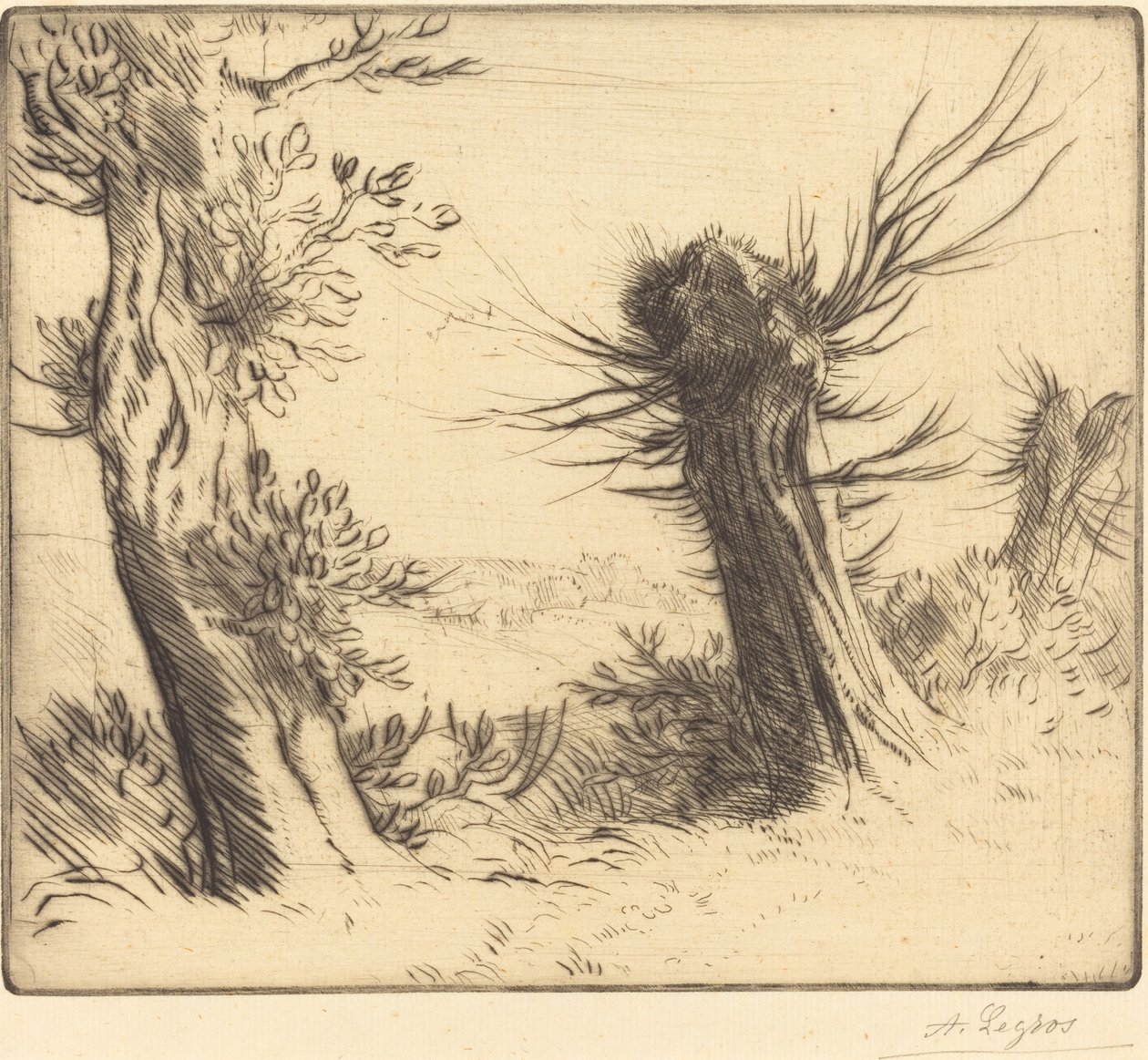 Söğütler Les saules. by Alphonse Legros