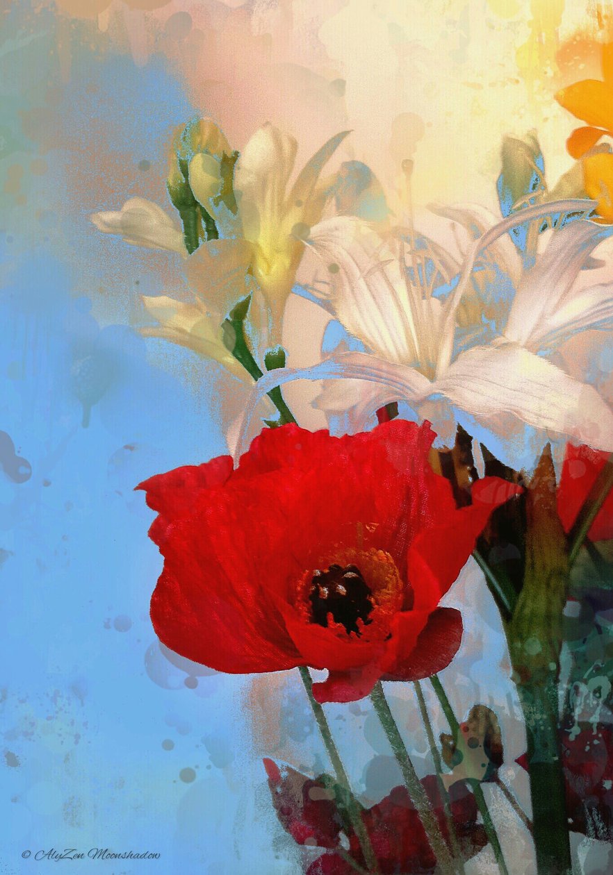 Poppy on blue, 2014, (dijital karışık medya fonografisi) by AlyZen Moonshadow