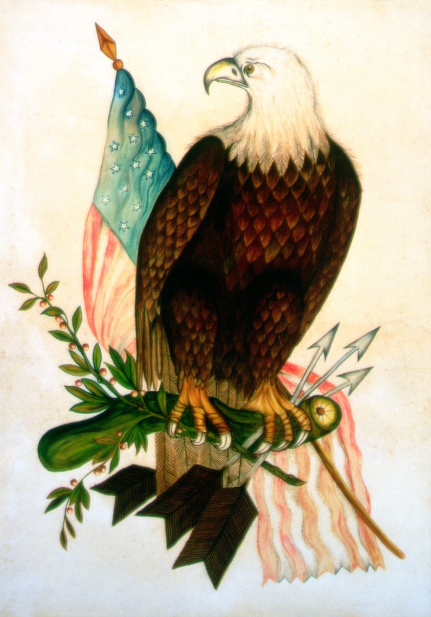 Bayraklı kel kartal (kadife üzerinde tempera) by American School