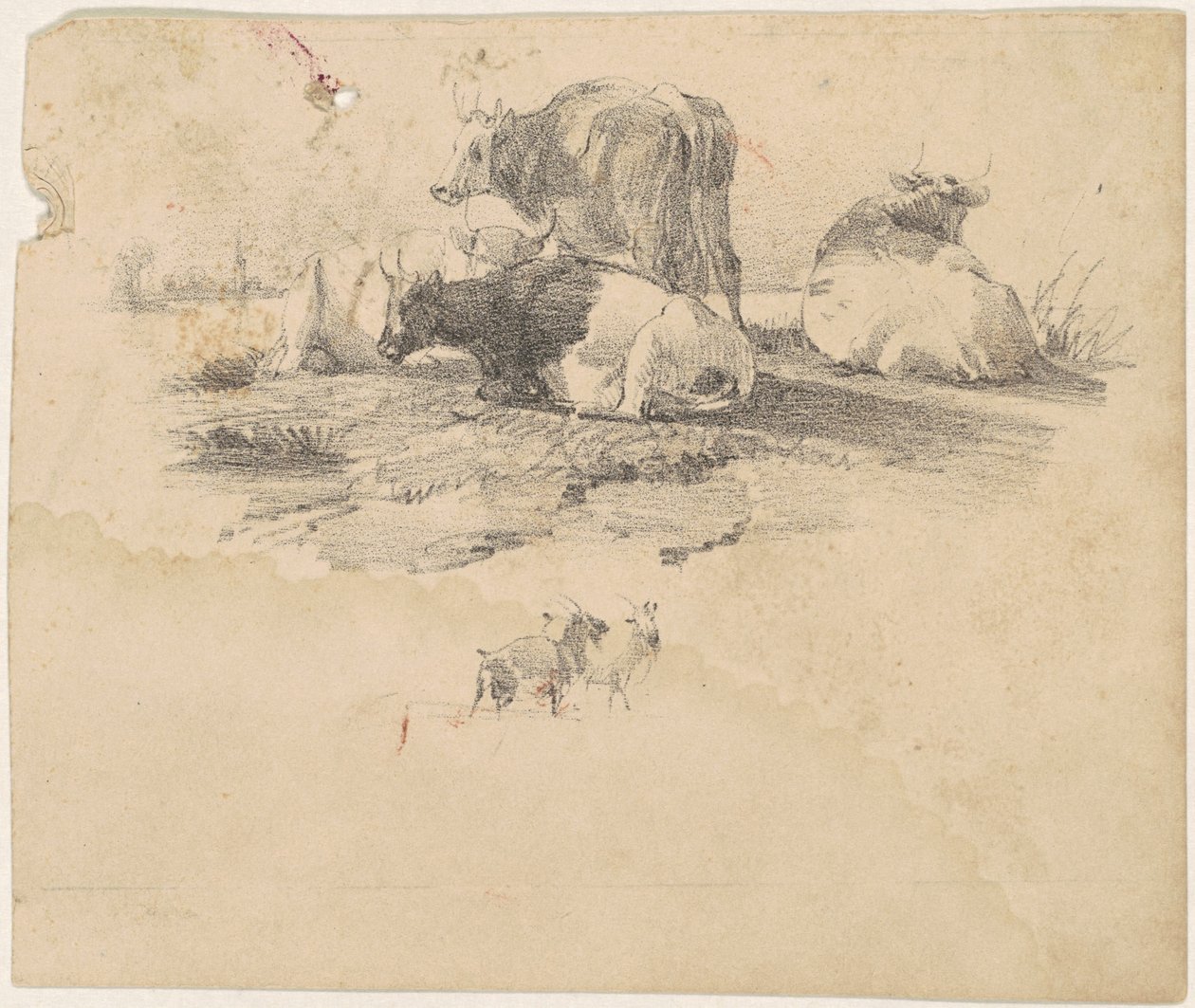 Sığır sürüsü by American 19th Century