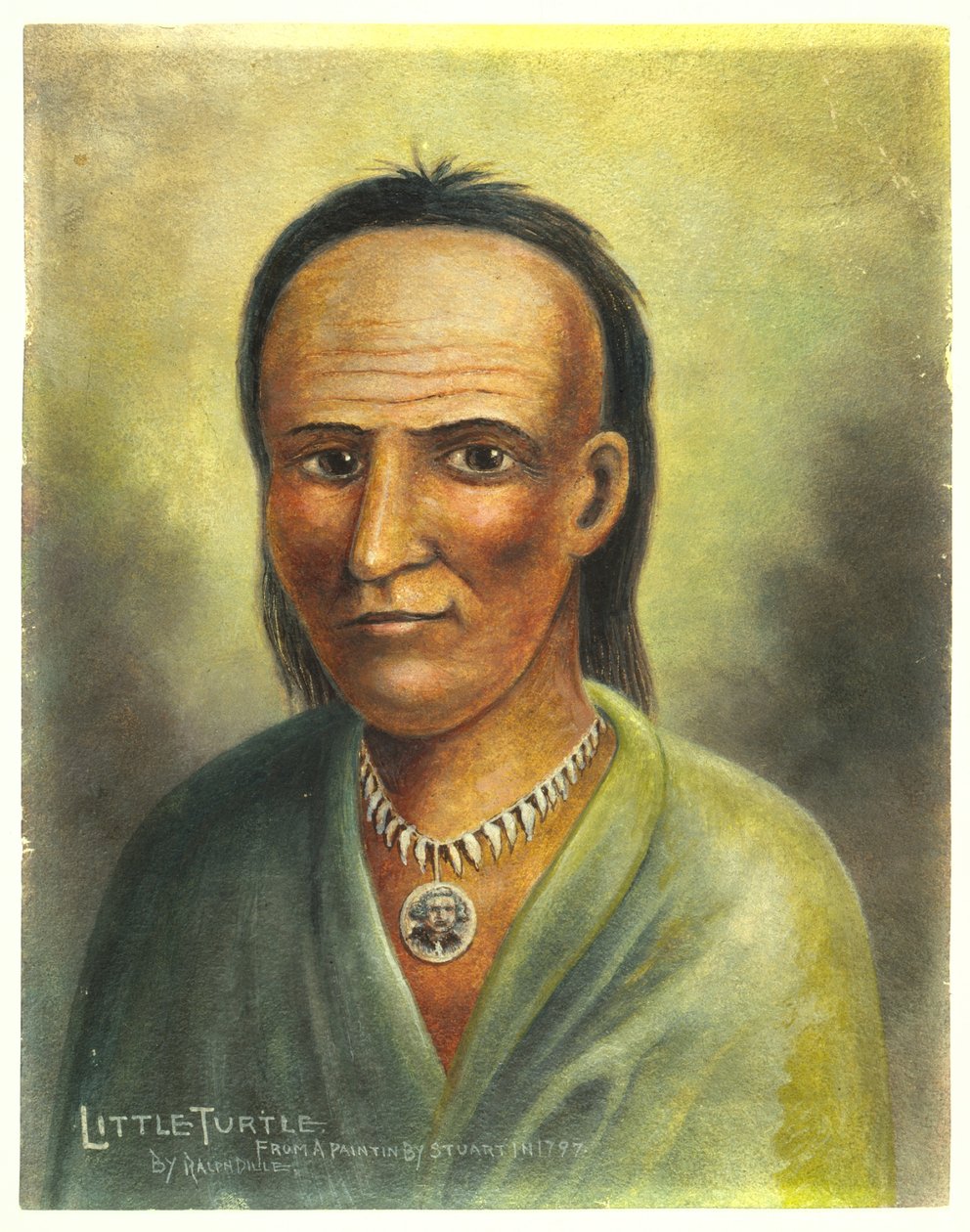 Küçük kaplumbağa by American School