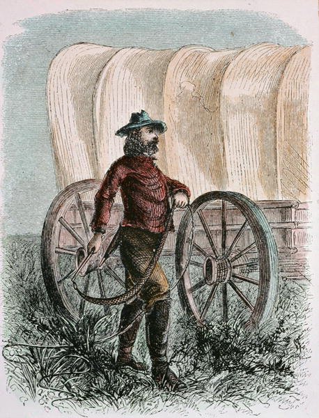 Boğa kamçısını tutan öncü Bullcracker (gravür) by American School