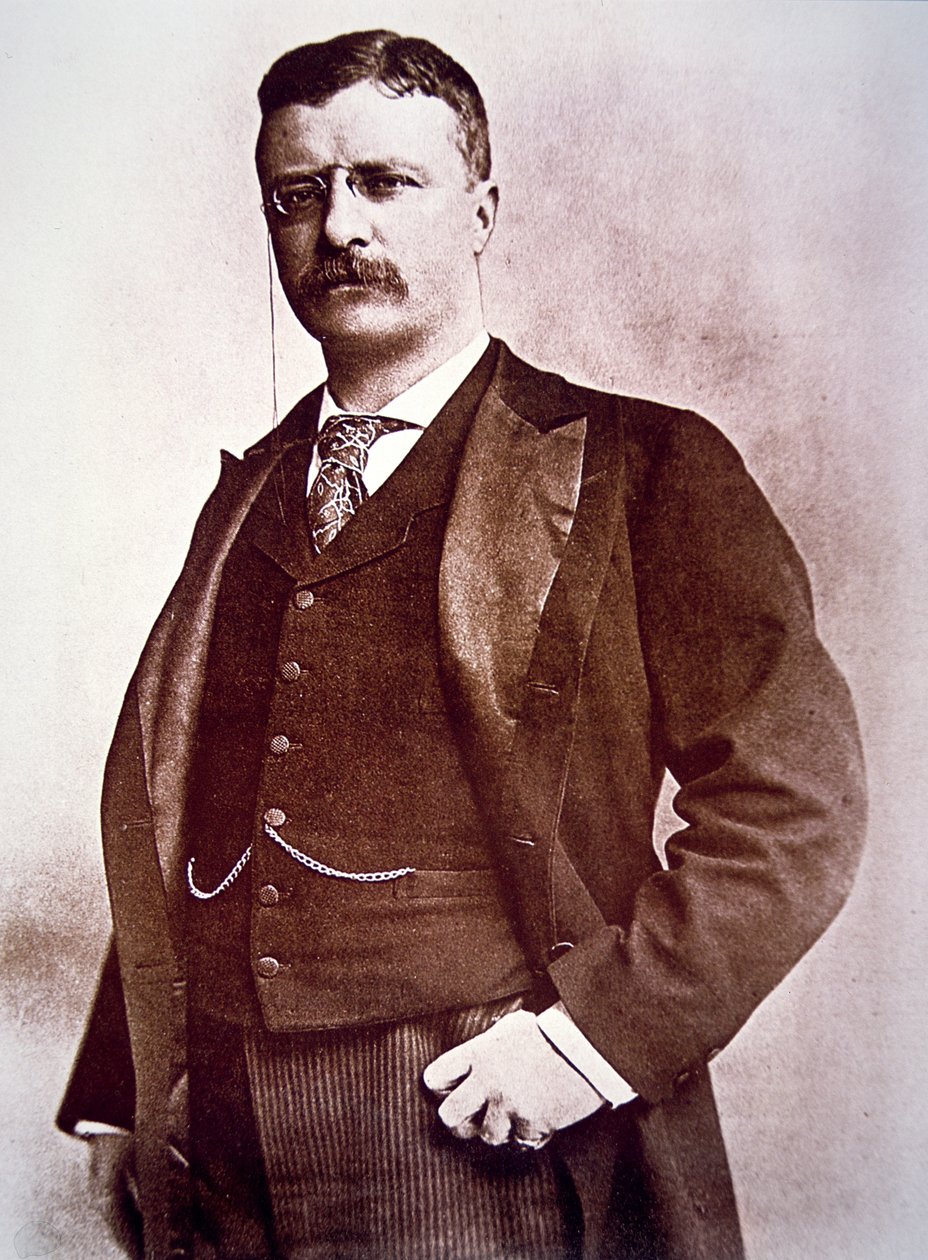 Başkan Theodore Roosevelt (lito) by American School