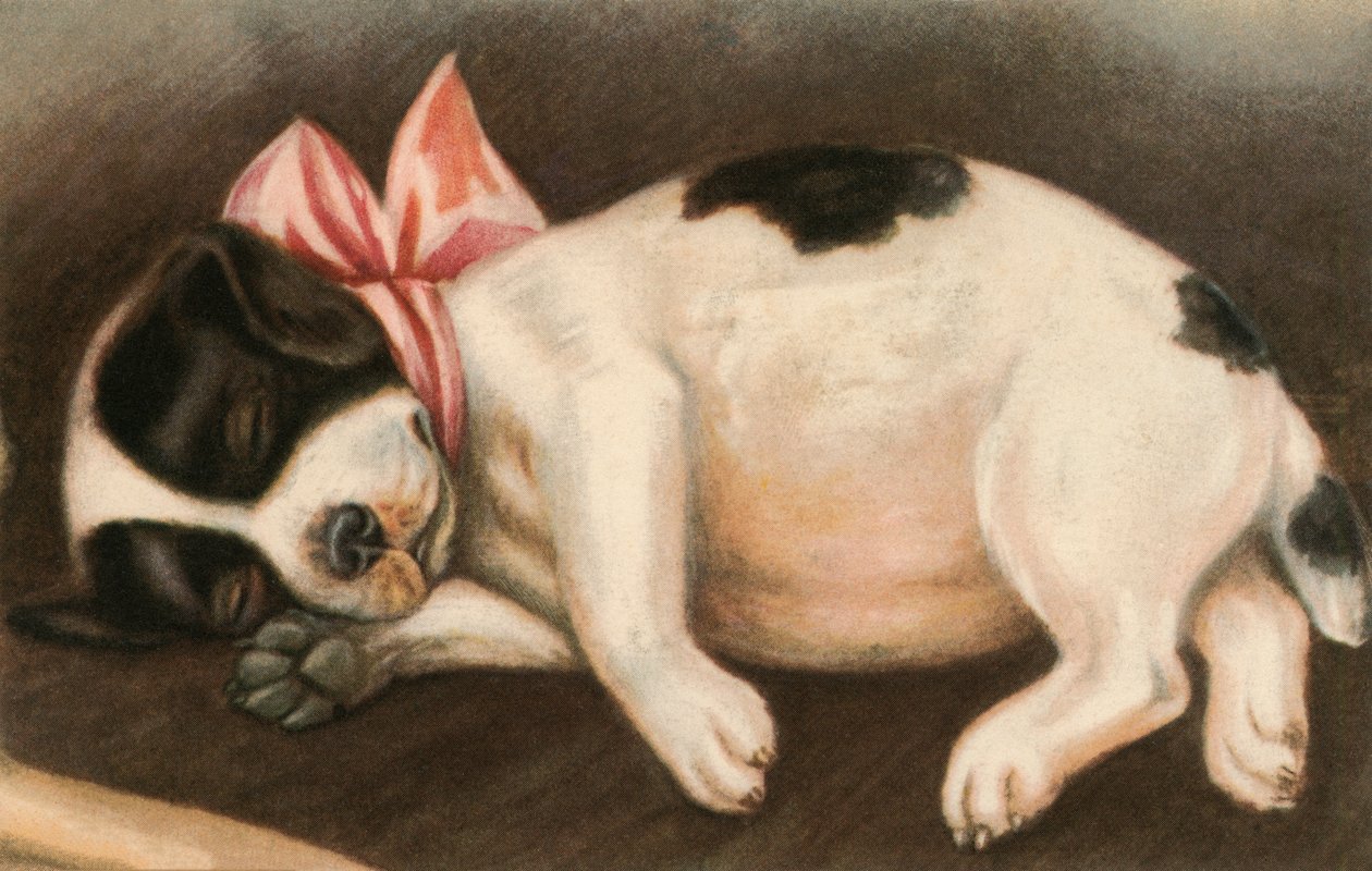 Pembe Fiyonk Giyen Uyuyan Pointer Köpek by American School