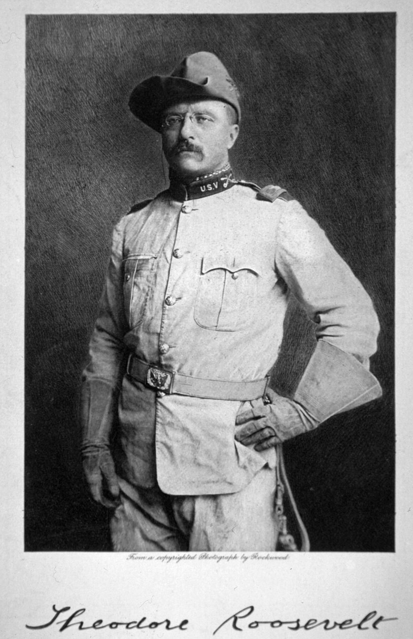 Theodore Roosevelt by American School