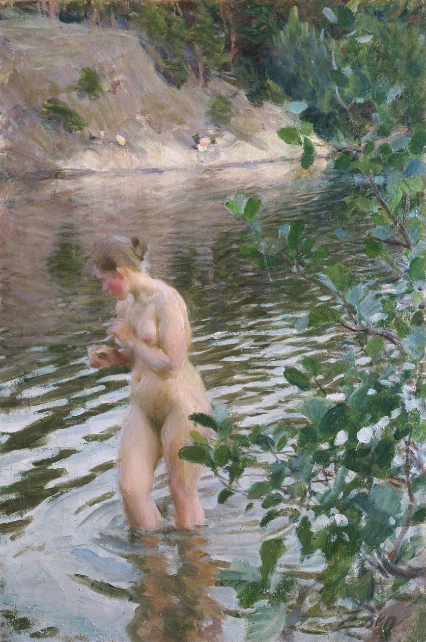 Soğuk by Anders Leonard Zorn