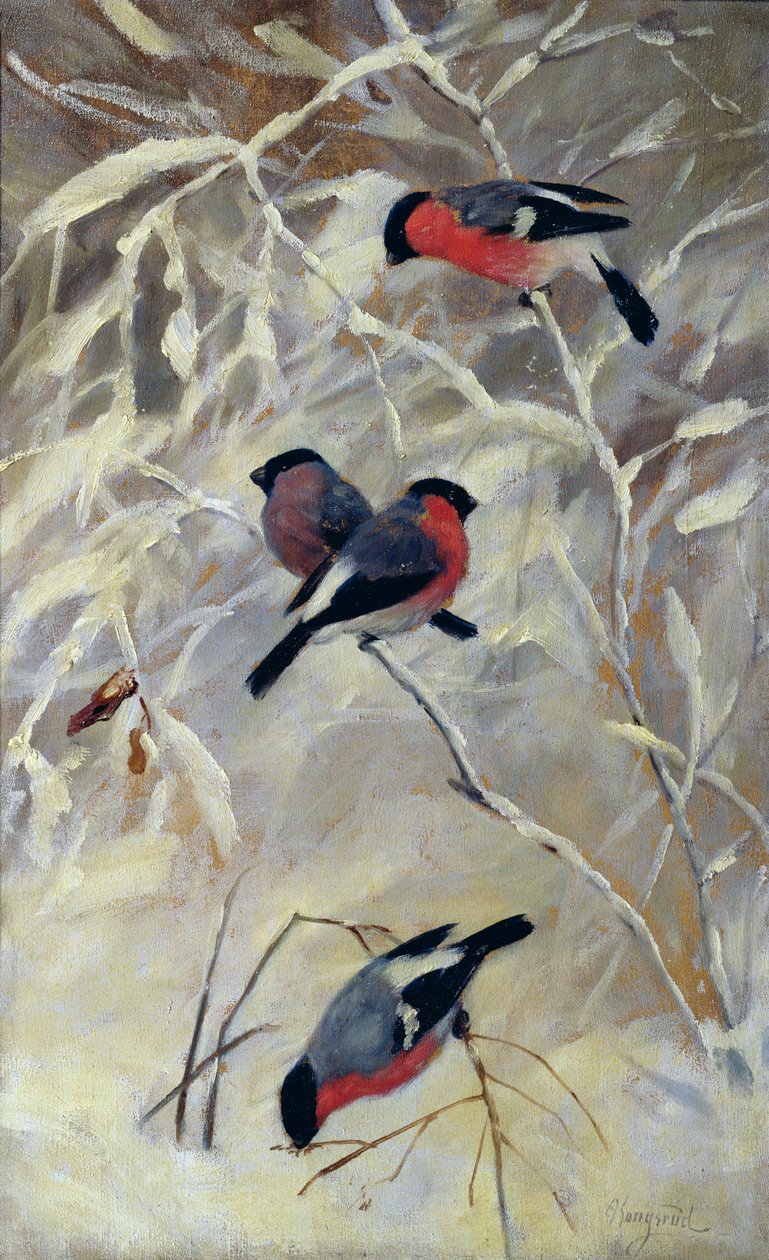 Şakrak kuşları (tuval üzerine yağlı boya) by Anders Kongsrud
