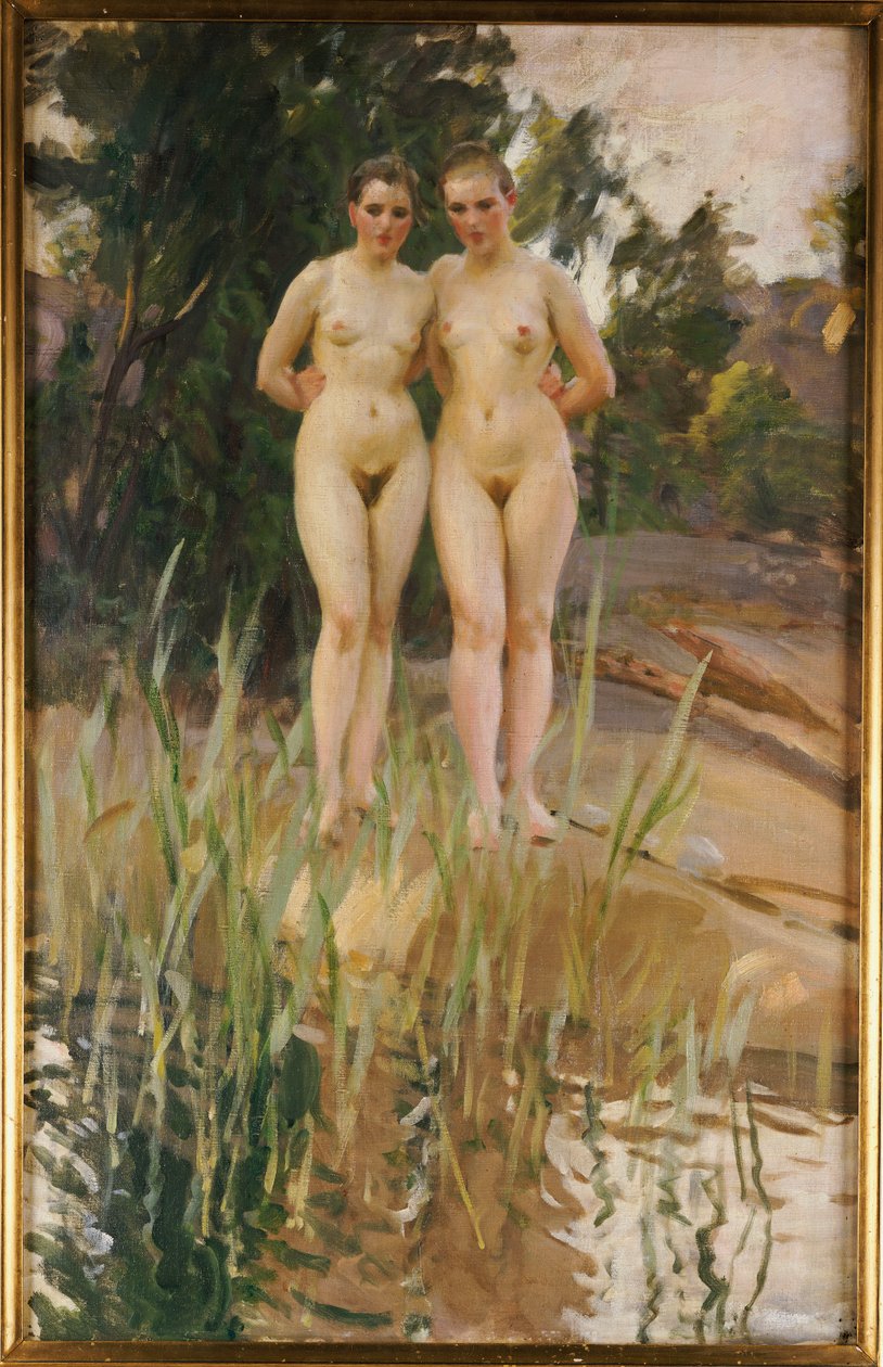 İki arkadaş by Anders Leonard Zorn
