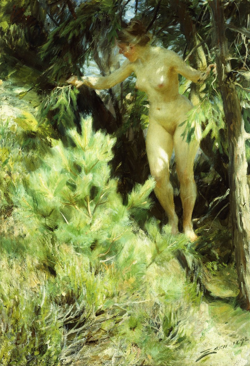 Ahşap-Sprite, 1892 by Anders Leonard Zorn