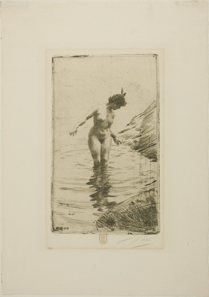  by Anders Zorn