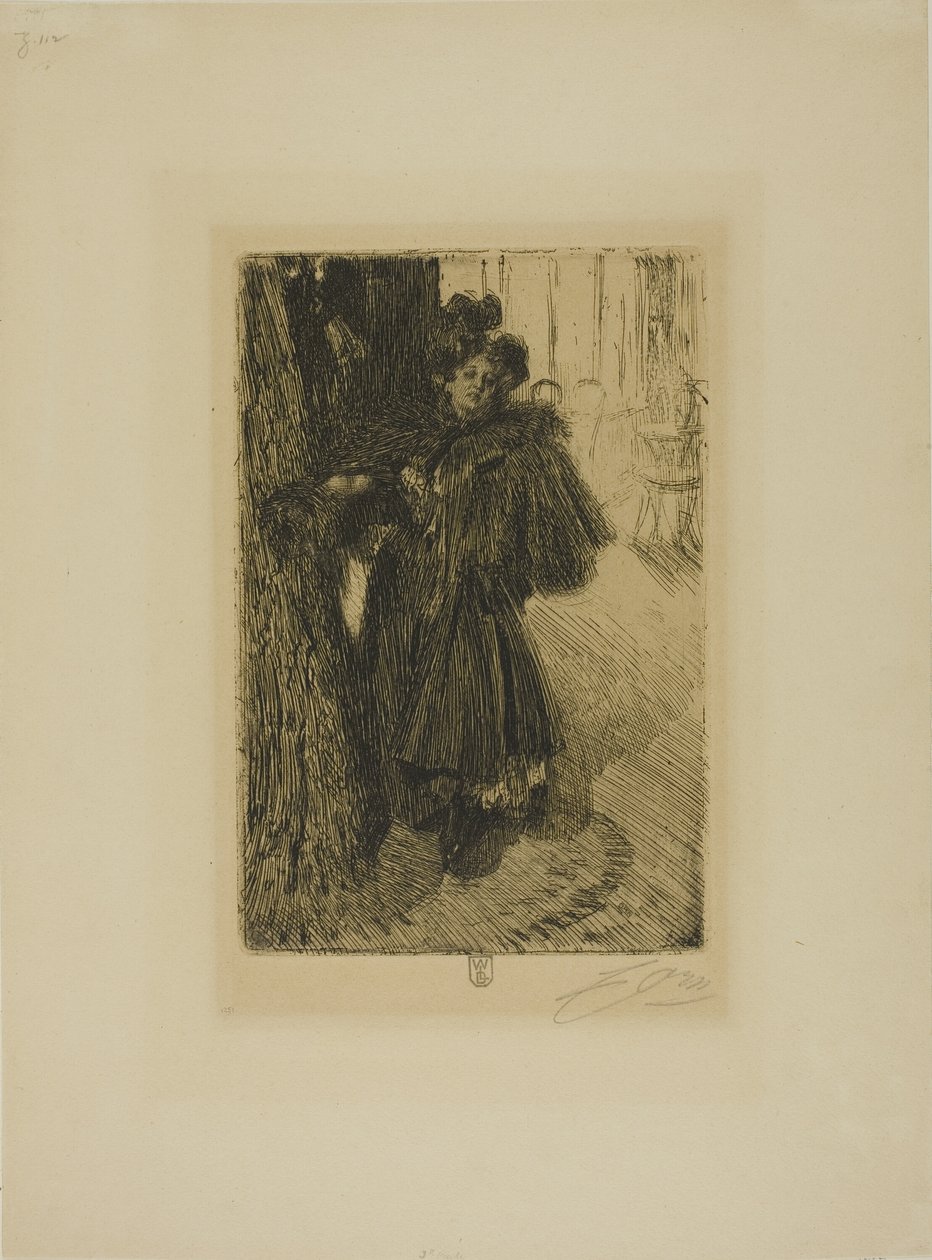 Gece Etkisi II by Anders Leonard Zorn