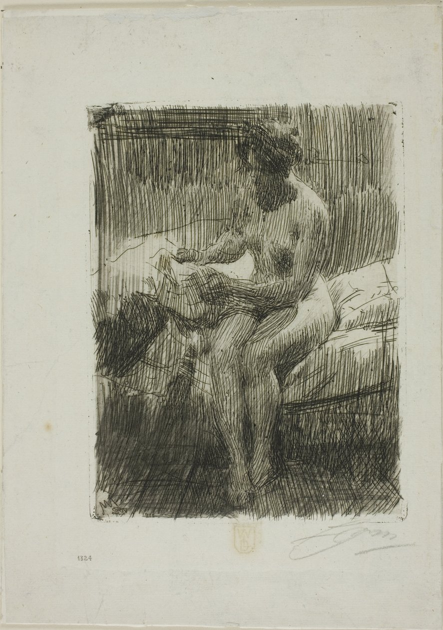 Model Okuma by Anders Leonard Zorn
