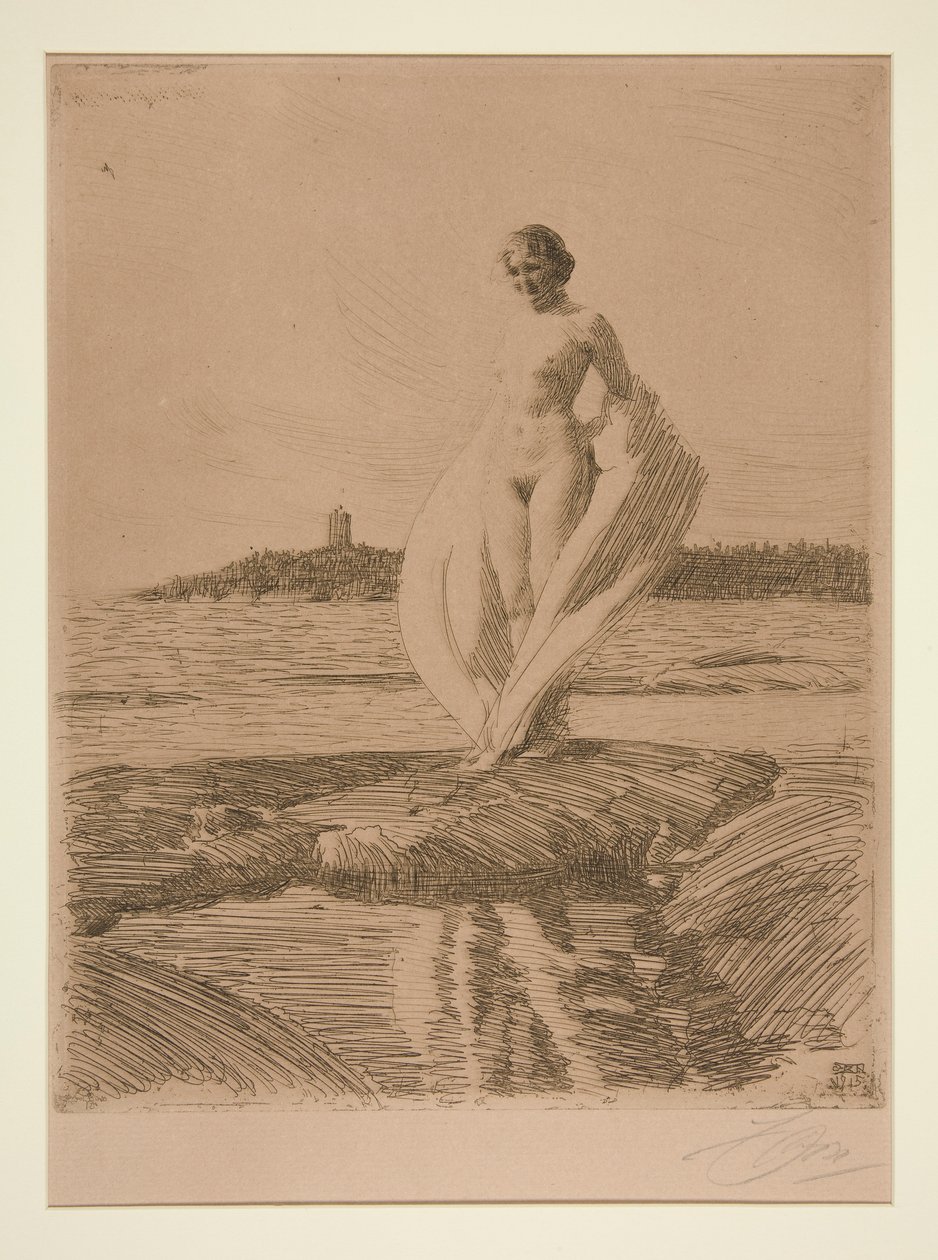 Kuğu by Anders Leonard Zorn