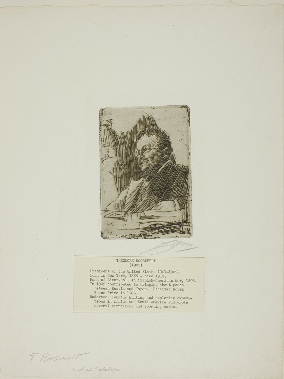 Theodore Roosevelt by Anders Leonard Zorn