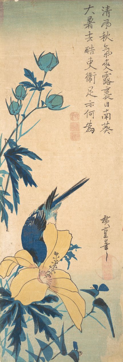 Mavikuş. by Ando Hiroshige