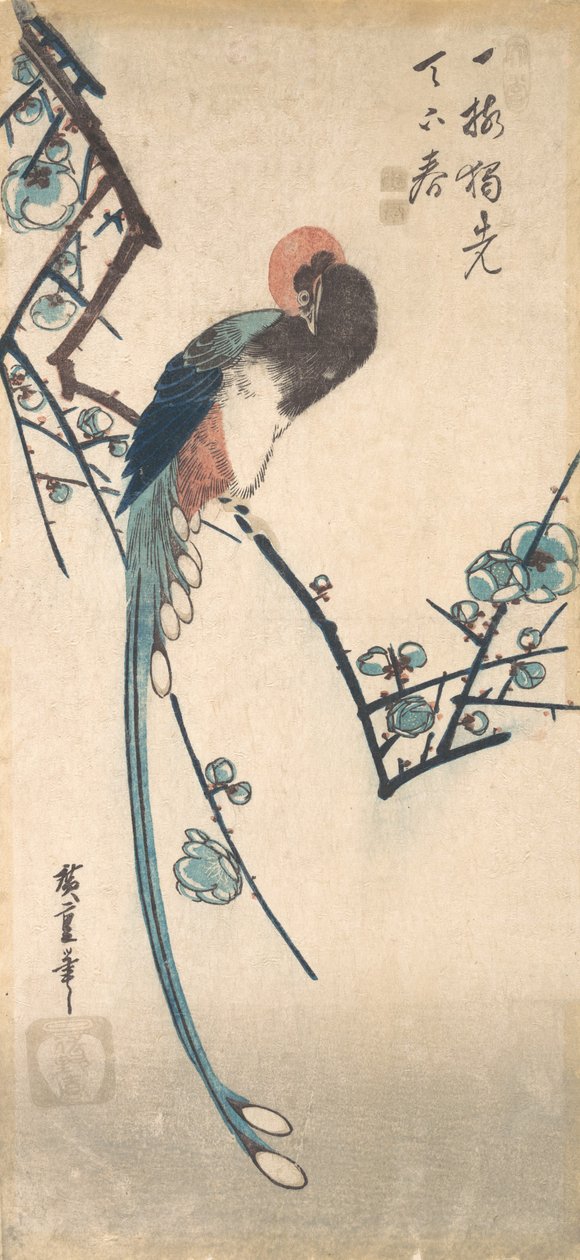 Uzun Kuyruklu Kuş. by Ando Hiroshige