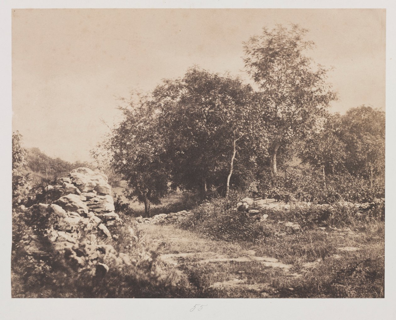 Fontainbleau