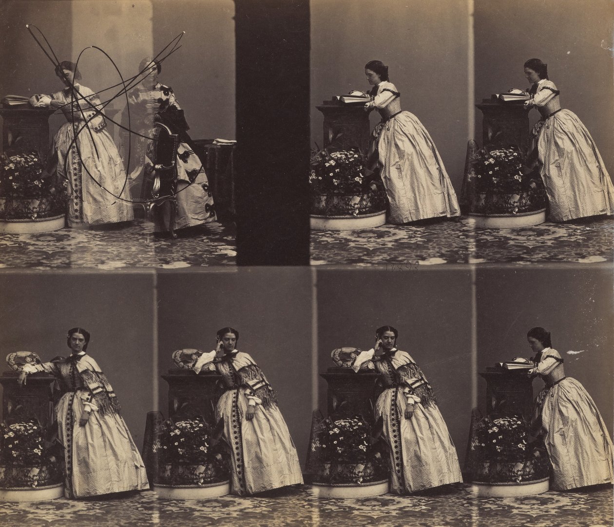 V Queniaus, Mayıs-Haziran 1860. by Andre Adolphe Eugene Disderi