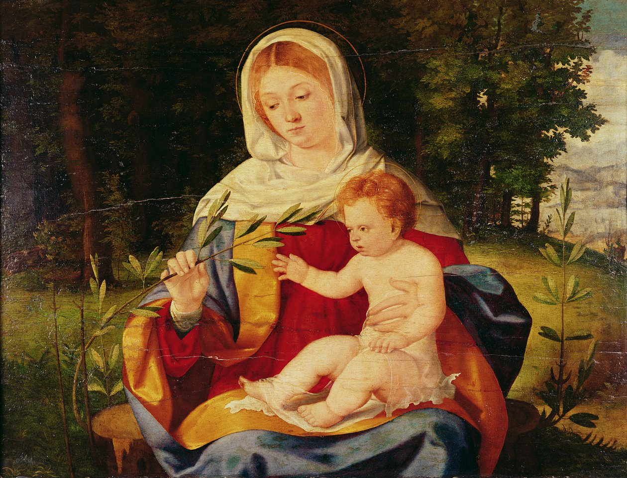 Zeytin sürgünlü Bakire ve Çocuk, c.1515 (tahta üzerine yağlı boya) by Andrea Previtali
