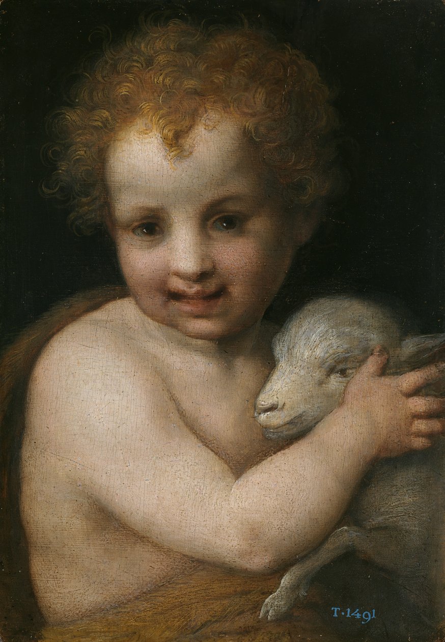 Vaftizci Yahya çocukken by Andrea del Sarto
