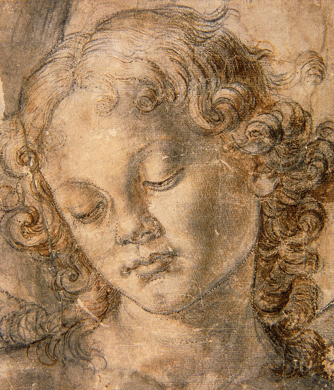 Head of Angel by Andrea del Verrocchio