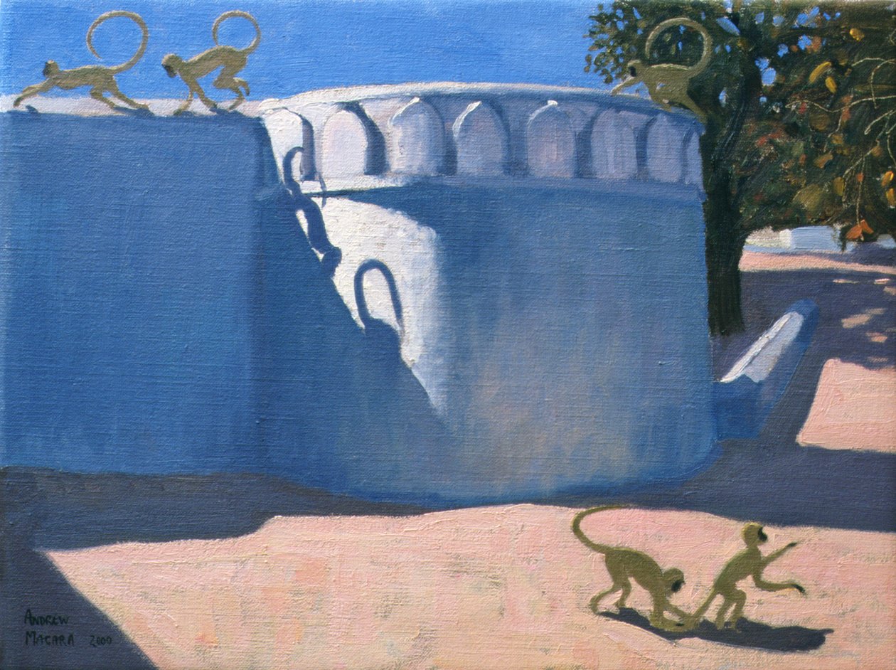 Maymun Tapınağı, Hindistan, 2000 by Andrew Macara