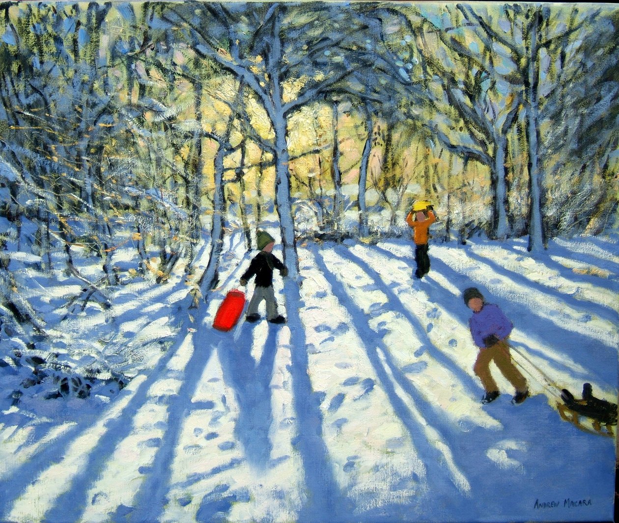 Ashbourne, Derbyshire yakınlarında kışın ormanlık alan by Andrew Macara
