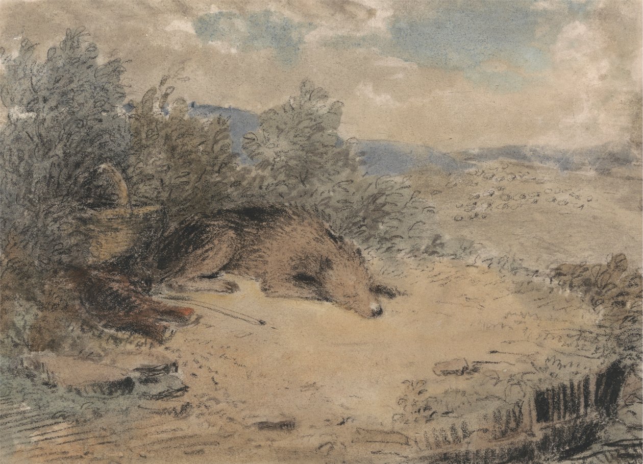 Çoban Köpeği Bir Manzarada Uyuyor by Andrew Geddes