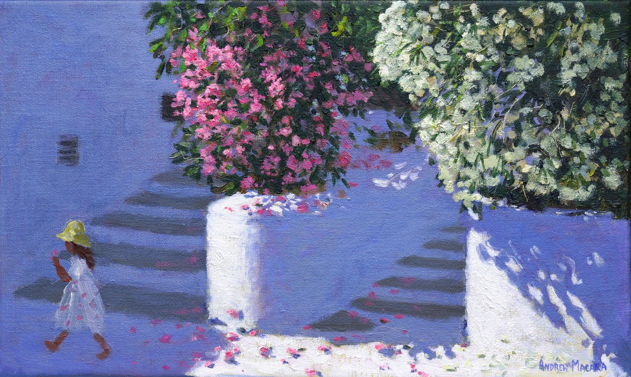 Begonvil, Anandas, Milos, Yunan Adaları, 2017, by Andrew Macara